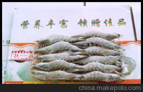 【南美對蝦(圖)】價格,廠家,圖片,蝦類,湛江市霞山區(qū)鑫昌水產品貿易-