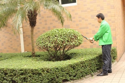 廠企保潔服務(wù)，專(zhuān)業(yè)清潔解決方案——聚焦廣州番禺清潔公司